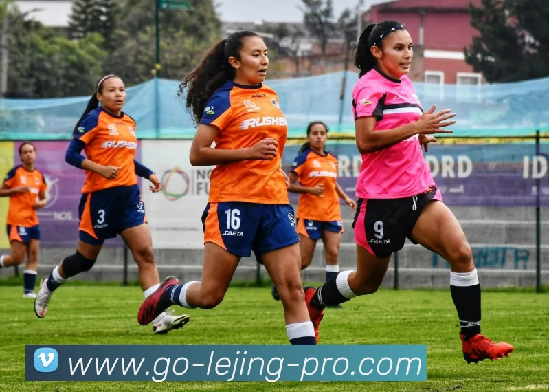 乐竞体育平台生态图